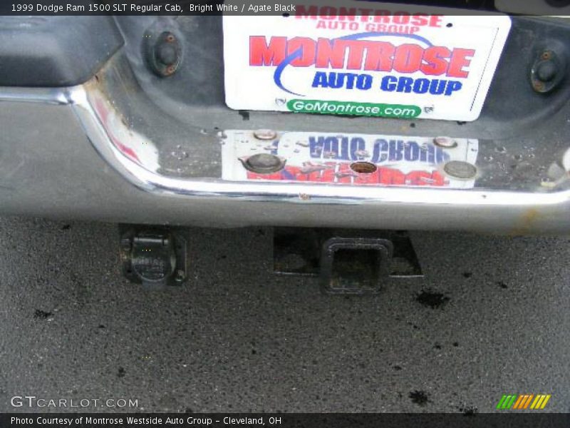 Bright White / Agate Black 1999 Dodge Ram 1500 SLT Regular Cab