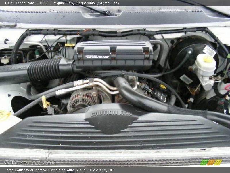 Bright White / Agate Black 1999 Dodge Ram 1500 SLT Regular Cab