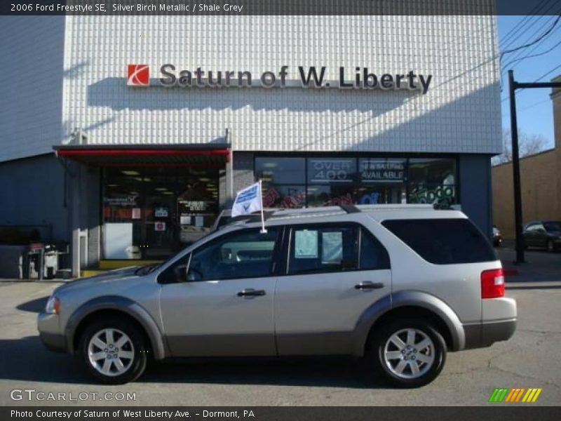 Silver Birch Metallic / Shale Grey 2006 Ford Freestyle SE