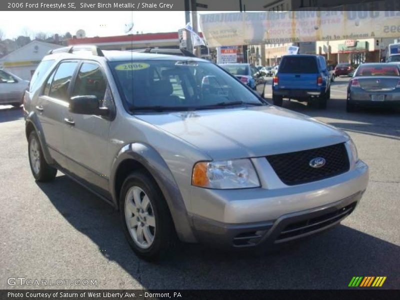 Silver Birch Metallic / Shale Grey 2006 Ford Freestyle SE