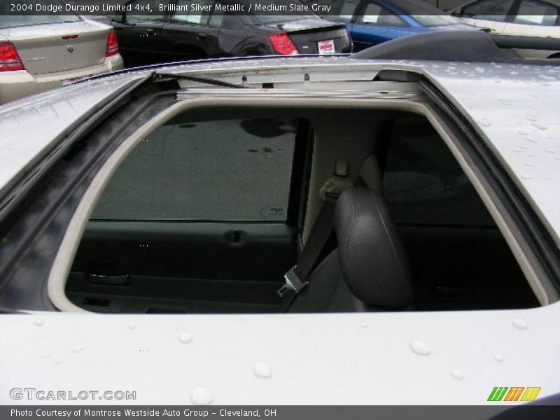 Brilliant Silver Metallic / Medium Slate Gray 2004 Dodge Durango Limited 4x4