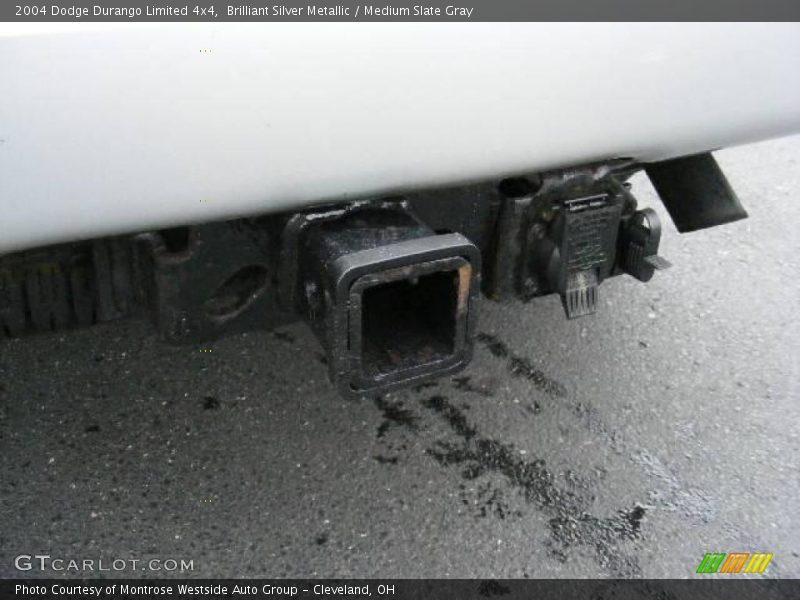 Brilliant Silver Metallic / Medium Slate Gray 2004 Dodge Durango Limited 4x4