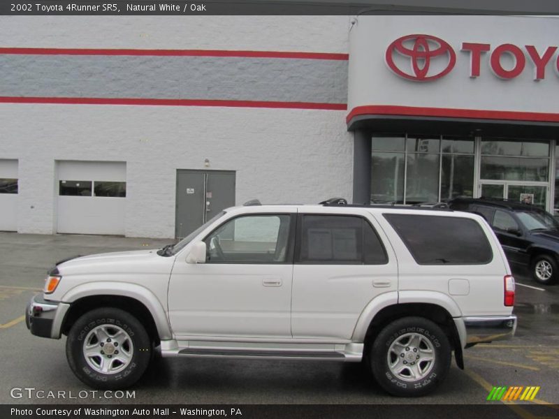 Natural White / Oak 2002 Toyota 4Runner SR5