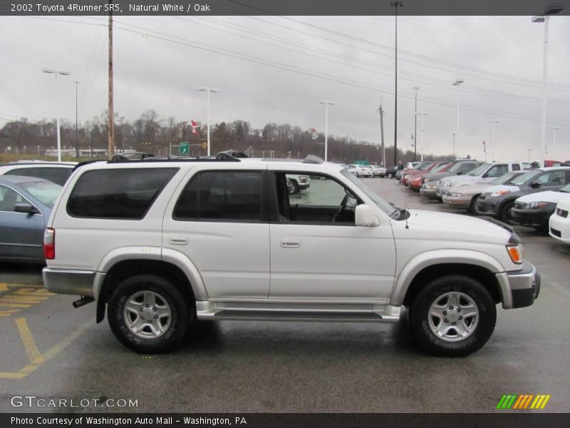 Natural White / Oak 2002 Toyota 4Runner SR5