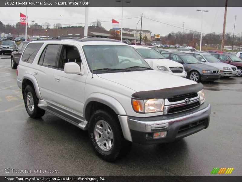 Natural White / Oak 2002 Toyota 4Runner SR5