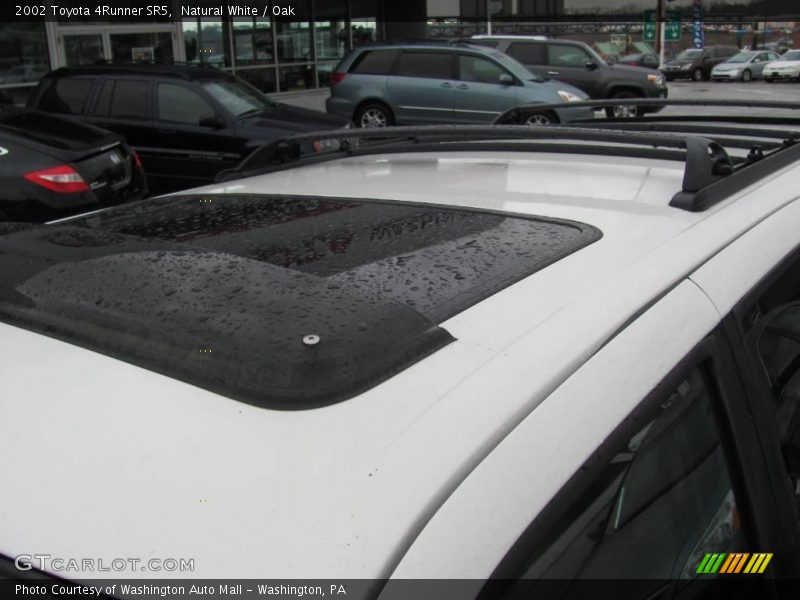 Natural White / Oak 2002 Toyota 4Runner SR5
