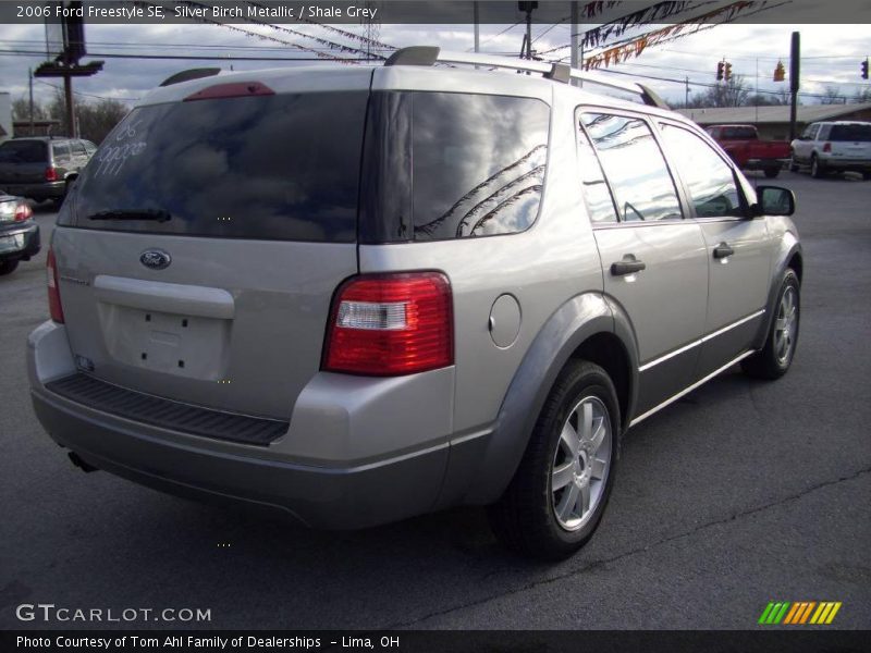 Silver Birch Metallic / Shale Grey 2006 Ford Freestyle SE