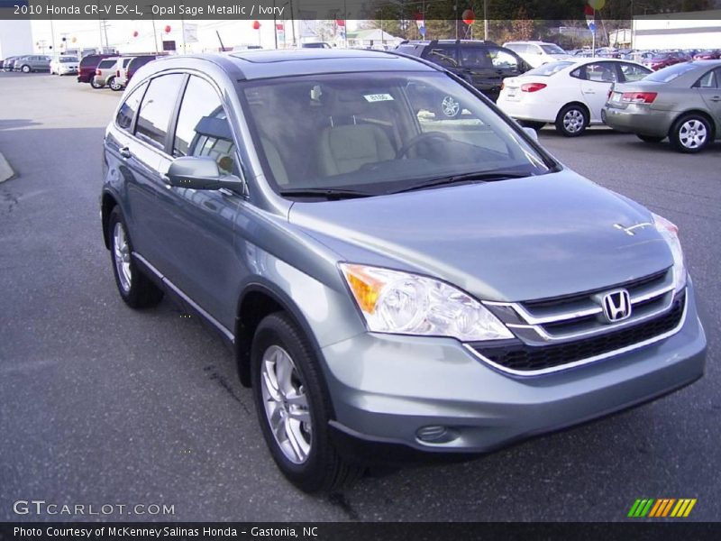 Opal Sage Metallic / Ivory 2010 Honda CR-V EX-L