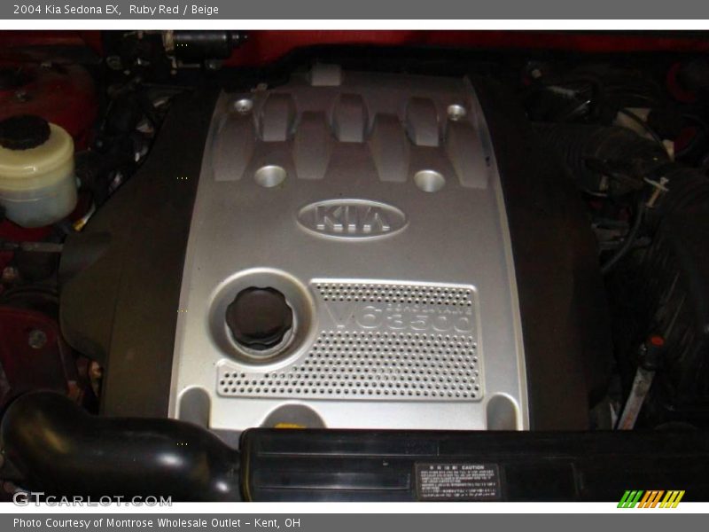 Ruby Red / Beige 2004 Kia Sedona EX