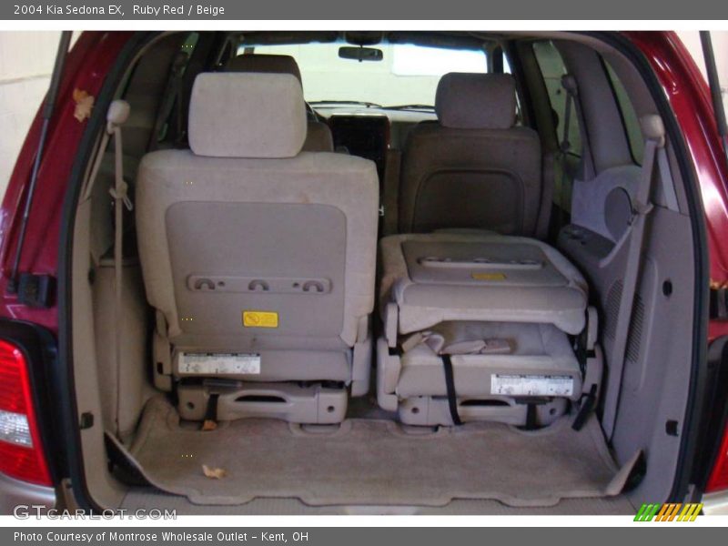 Ruby Red / Beige 2004 Kia Sedona EX