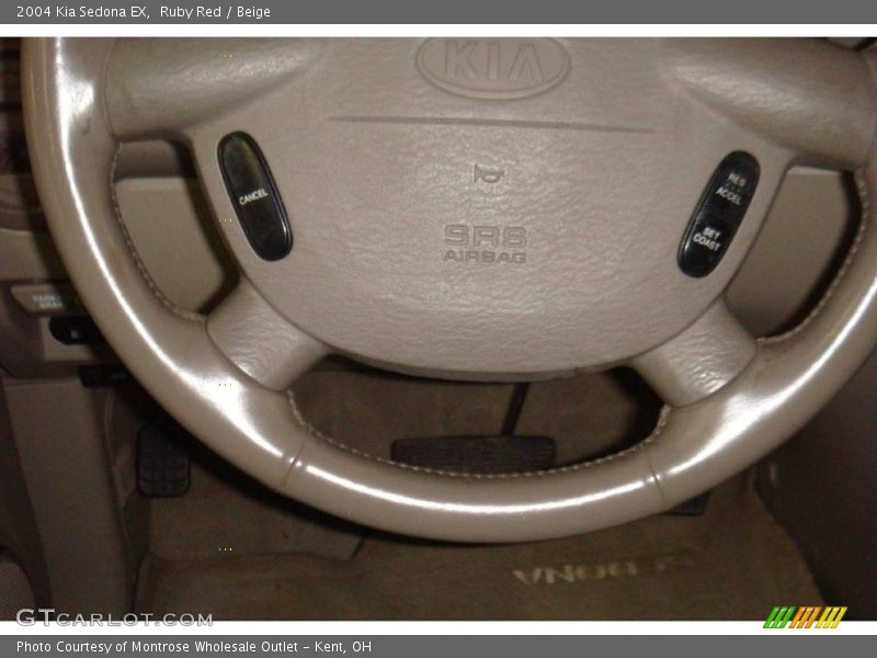 Ruby Red / Beige 2004 Kia Sedona EX