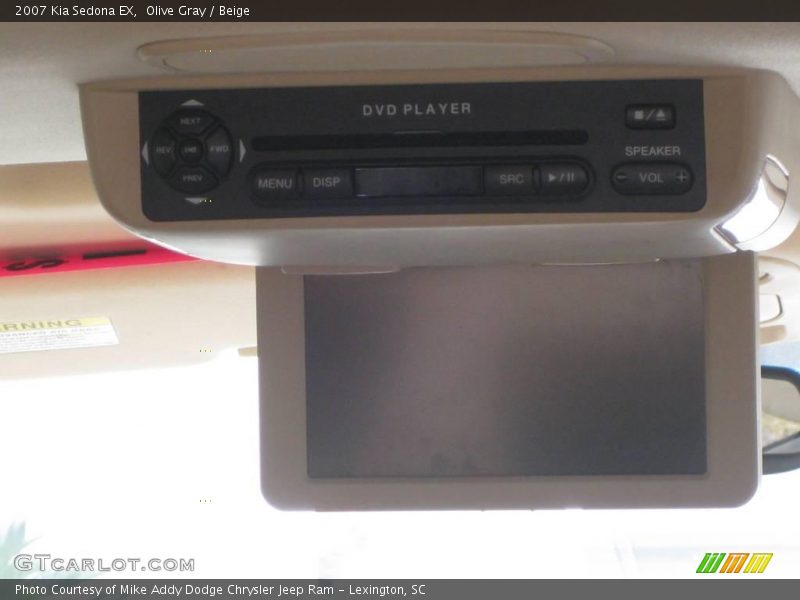 Olive Gray / Beige 2007 Kia Sedona EX