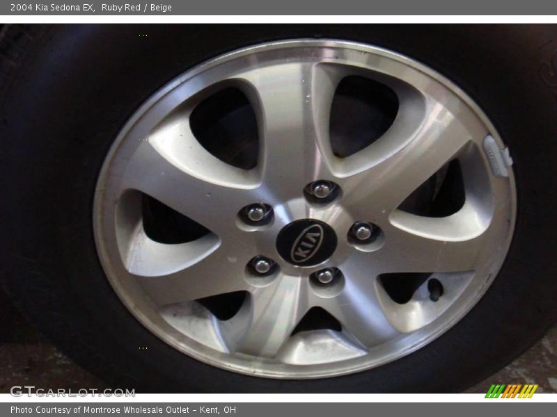 Ruby Red / Beige 2004 Kia Sedona EX