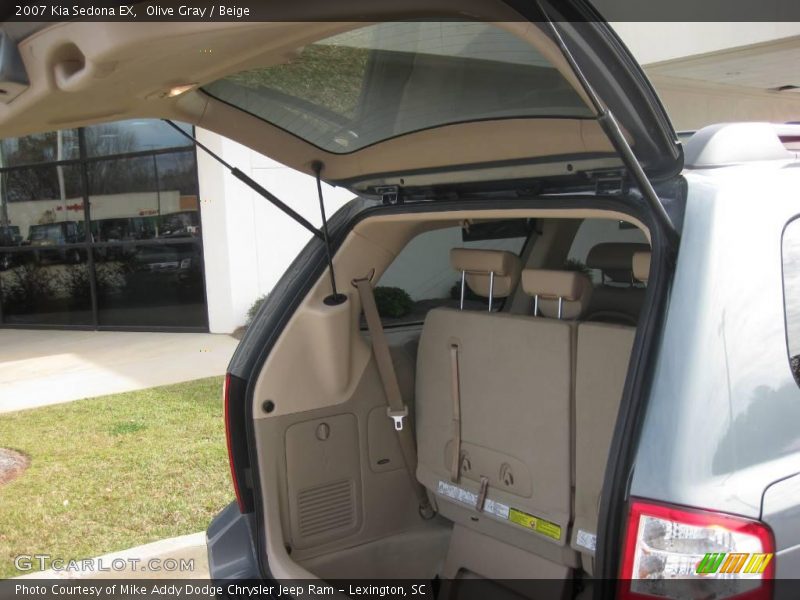 Olive Gray / Beige 2007 Kia Sedona EX