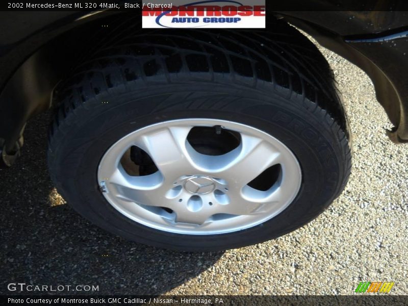 Black / Charcoal 2002 Mercedes-Benz ML 320 4Matic
