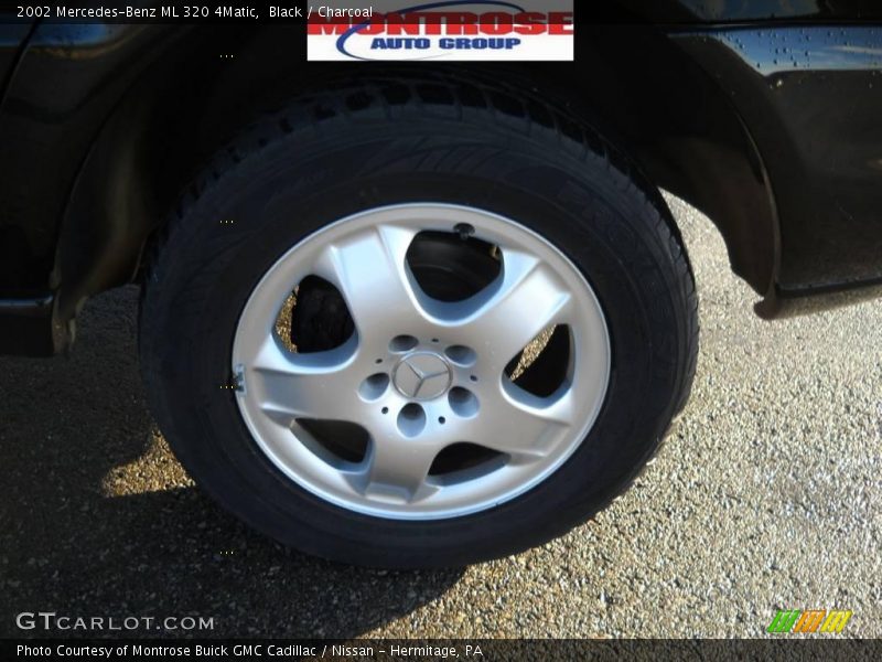 Black / Charcoal 2002 Mercedes-Benz ML 320 4Matic