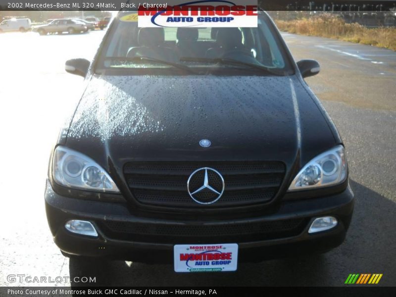Black / Charcoal 2002 Mercedes-Benz ML 320 4Matic