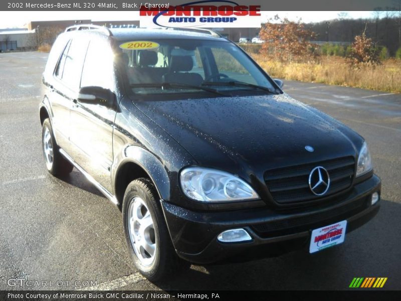 Black / Charcoal 2002 Mercedes-Benz ML 320 4Matic
