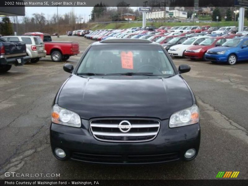 Super Black / Black 2002 Nissan Maxima SE