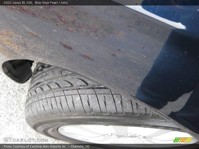 Blue Onyx Pearl / Ivory 2002 Lexus ES 300