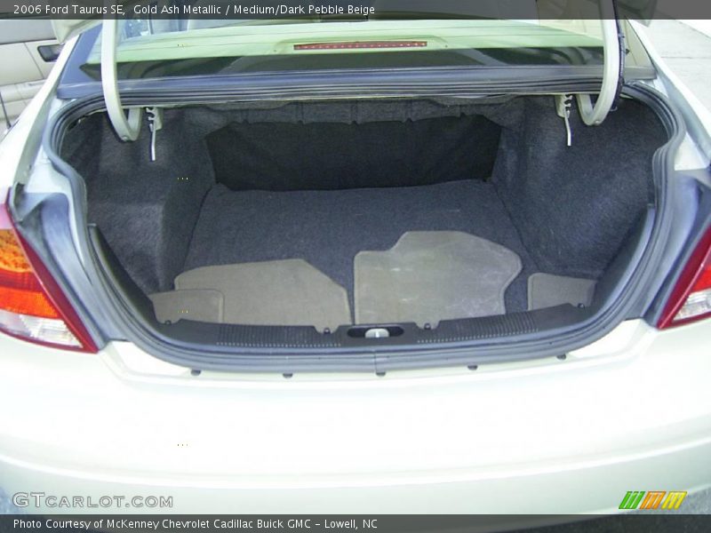 Gold Ash Metallic / Medium/Dark Pebble Beige 2006 Ford Taurus SE
