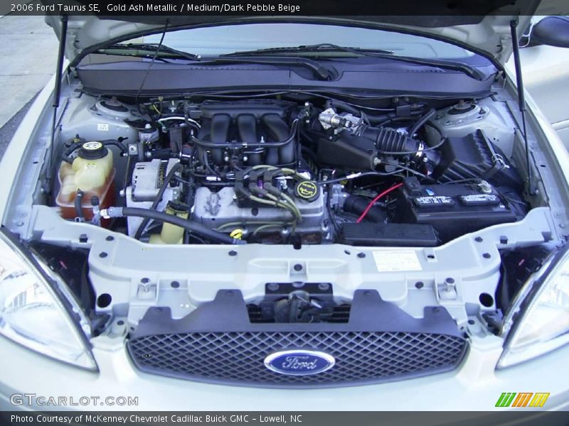 Gold Ash Metallic / Medium/Dark Pebble Beige 2006 Ford Taurus SE