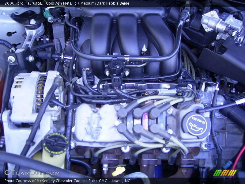 Gold Ash Metallic / Medium/Dark Pebble Beige 2006 Ford Taurus SE