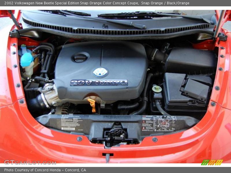 Snap Orange / Black/Orange 2002 Volkswagen New Beetle Special Edition Snap Orange Color Concept Coupe