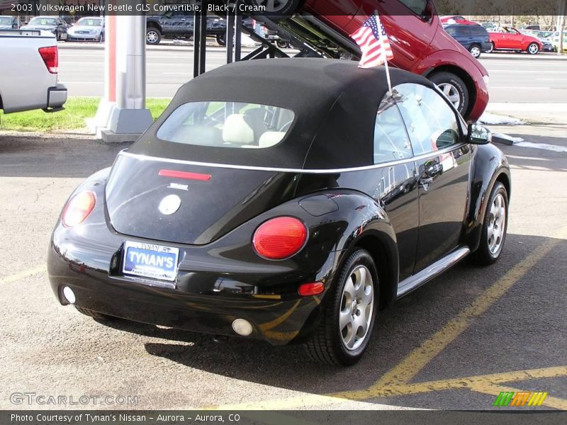 Black / Cream 2003 Volkswagen New Beetle GLS Convertible
