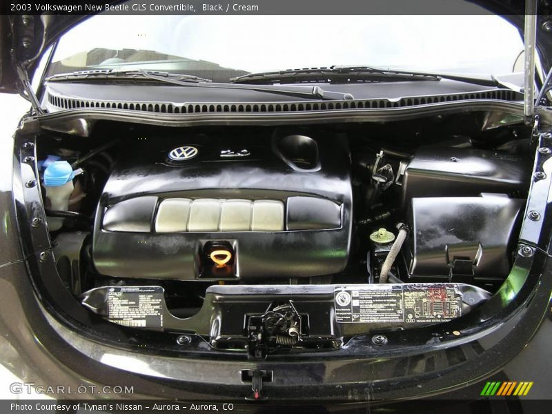 Black / Cream 2003 Volkswagen New Beetle GLS Convertible