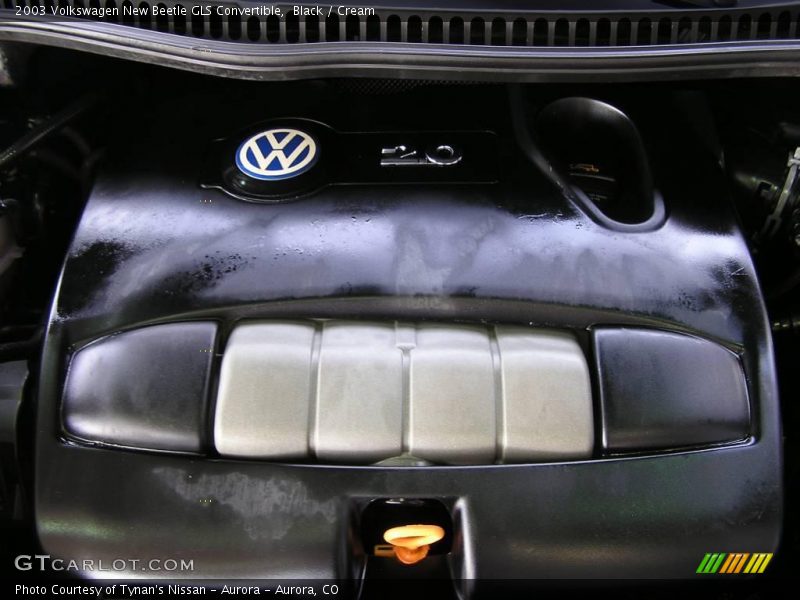 Black / Cream 2003 Volkswagen New Beetle GLS Convertible