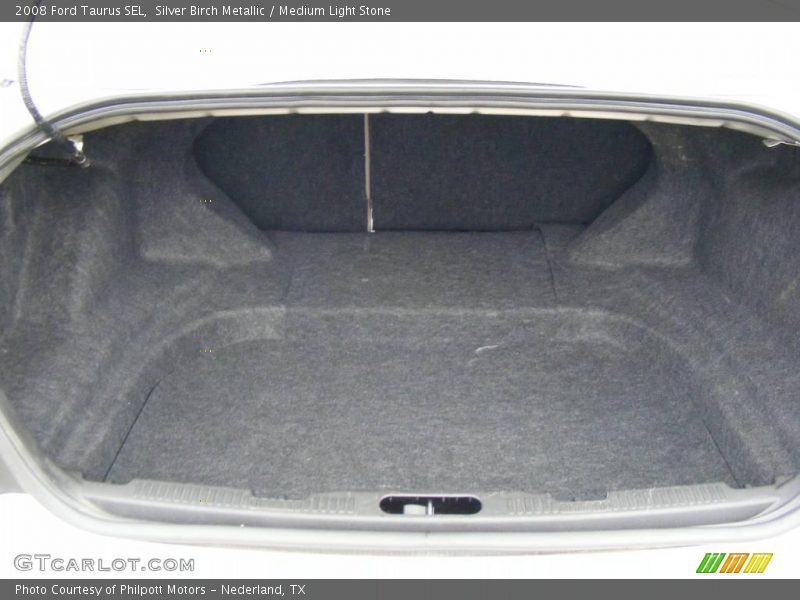 Silver Birch Metallic / Medium Light Stone 2008 Ford Taurus SEL
