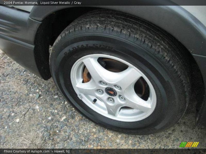 Liquid Silver Metallic / Gray 2004 Pontiac Montana