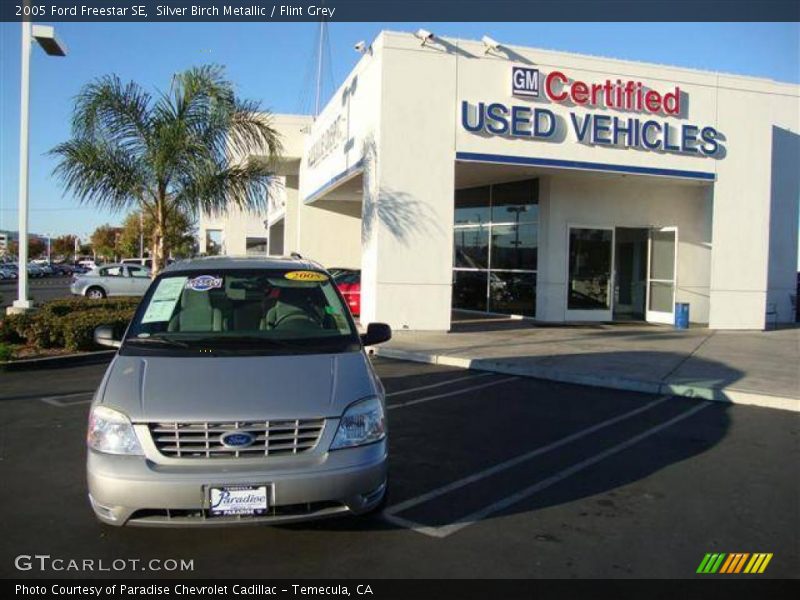 Silver Birch Metallic / Flint Grey 2005 Ford Freestar SE