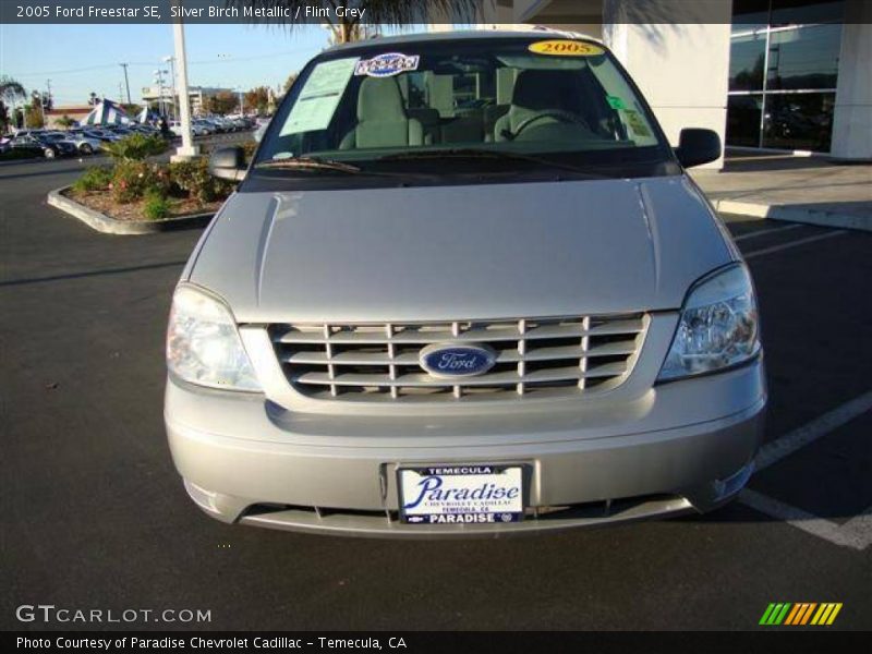 Silver Birch Metallic / Flint Grey 2005 Ford Freestar SE