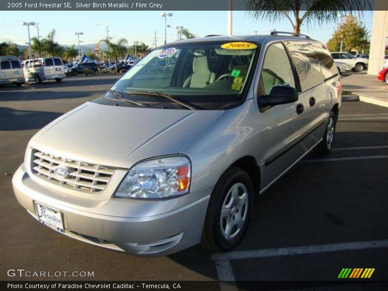 Silver Birch Metallic / Flint Grey 2005 Ford Freestar SE