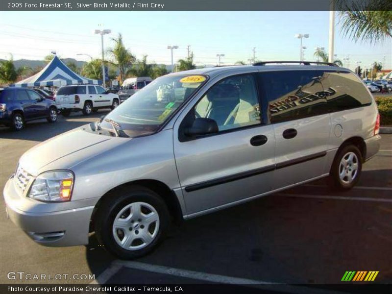 Silver Birch Metallic / Flint Grey 2005 Ford Freestar SE