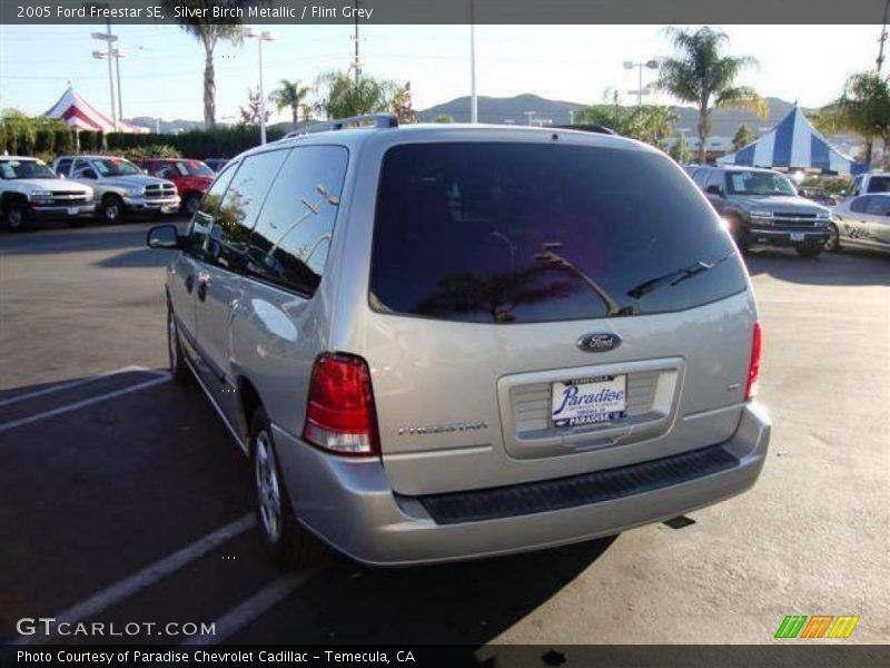 Silver Birch Metallic / Flint Grey 2005 Ford Freestar SE