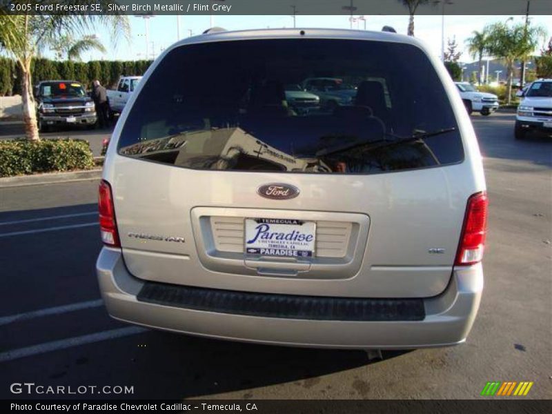 Silver Birch Metallic / Flint Grey 2005 Ford Freestar SE