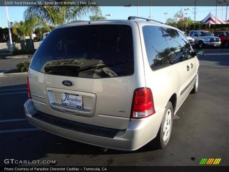 Silver Birch Metallic / Flint Grey 2005 Ford Freestar SE
