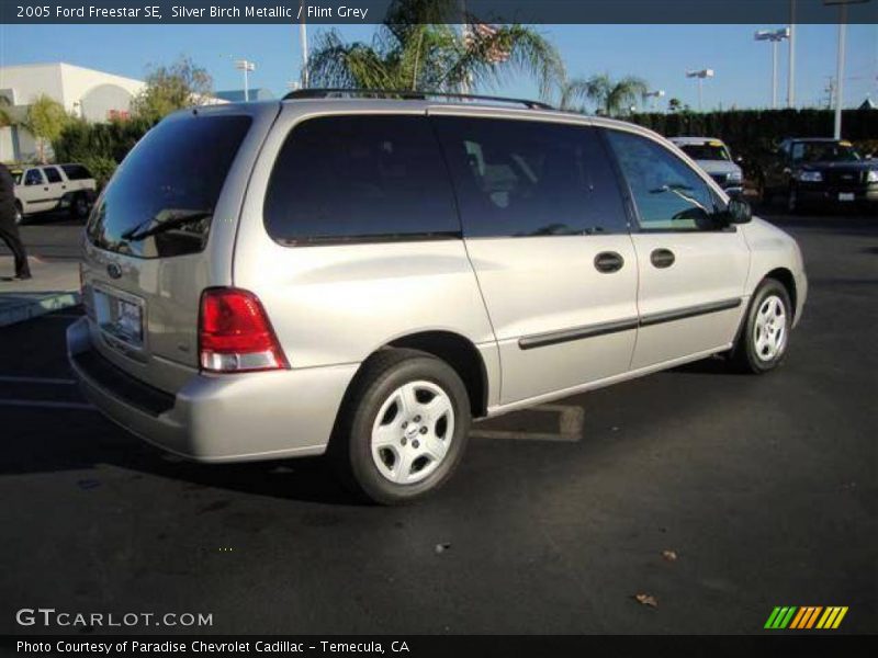 Silver Birch Metallic / Flint Grey 2005 Ford Freestar SE