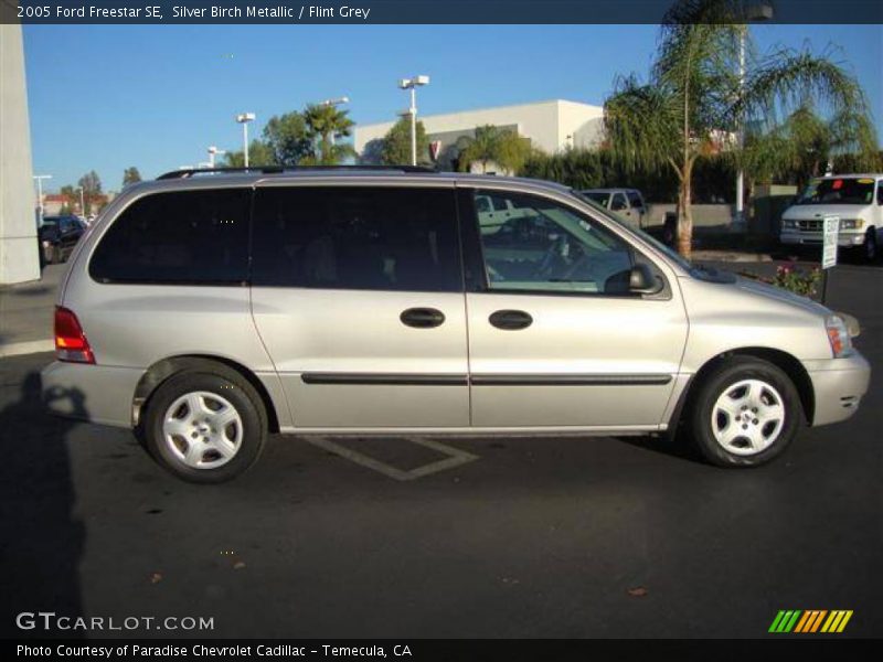Silver Birch Metallic / Flint Grey 2005 Ford Freestar SE