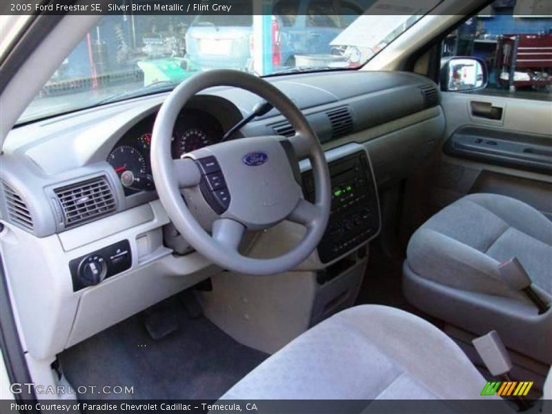 Silver Birch Metallic / Flint Grey 2005 Ford Freestar SE