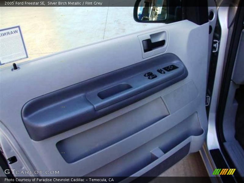Silver Birch Metallic / Flint Grey 2005 Ford Freestar SE