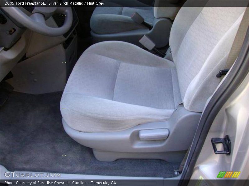 Silver Birch Metallic / Flint Grey 2005 Ford Freestar SE