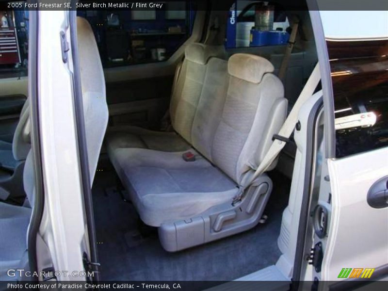 Silver Birch Metallic / Flint Grey 2005 Ford Freestar SE
