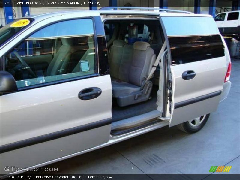 Silver Birch Metallic / Flint Grey 2005 Ford Freestar SE