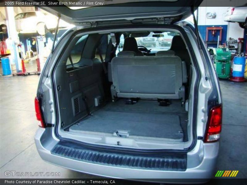 Silver Birch Metallic / Flint Grey 2005 Ford Freestar SE