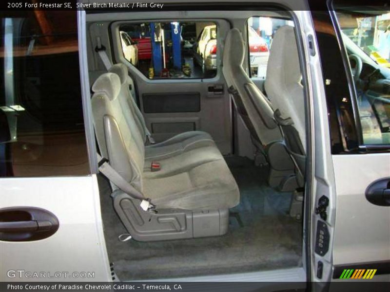 Silver Birch Metallic / Flint Grey 2005 Ford Freestar SE