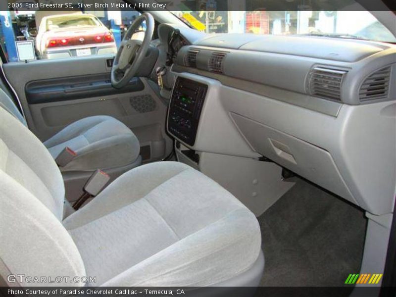 Silver Birch Metallic / Flint Grey 2005 Ford Freestar SE